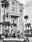 Palm Beach
