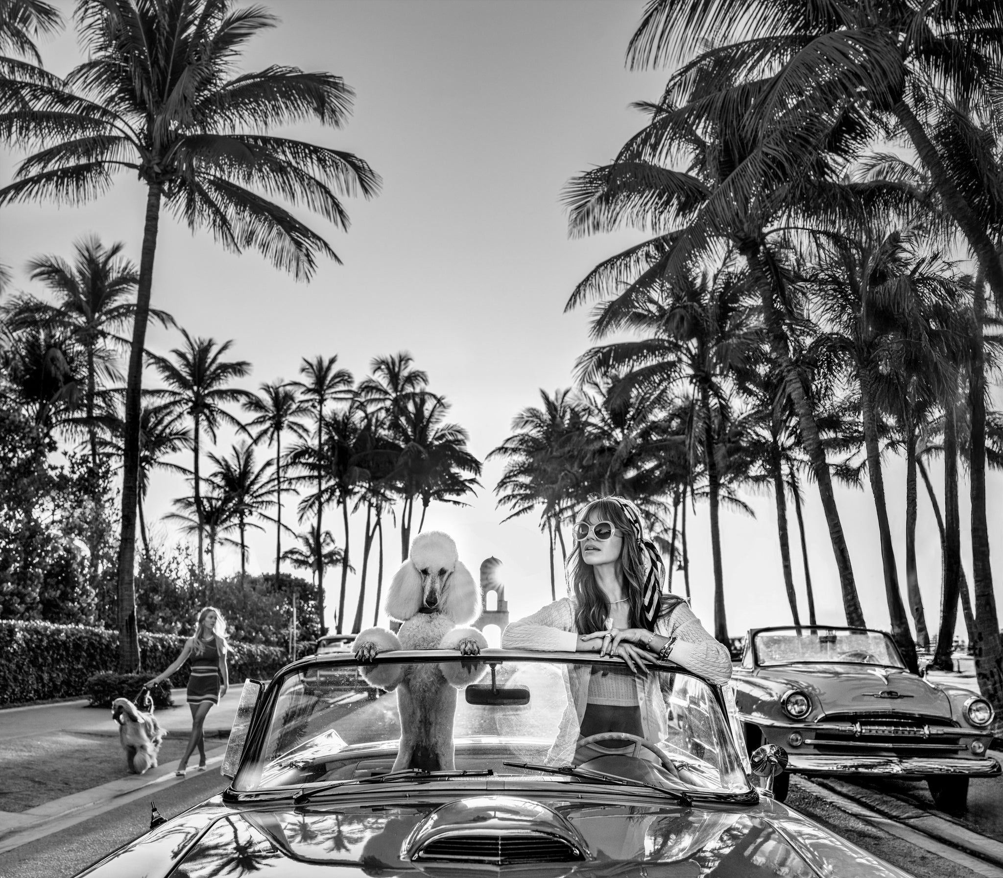 Worth Avenue by David Yarrow, limited edition photography