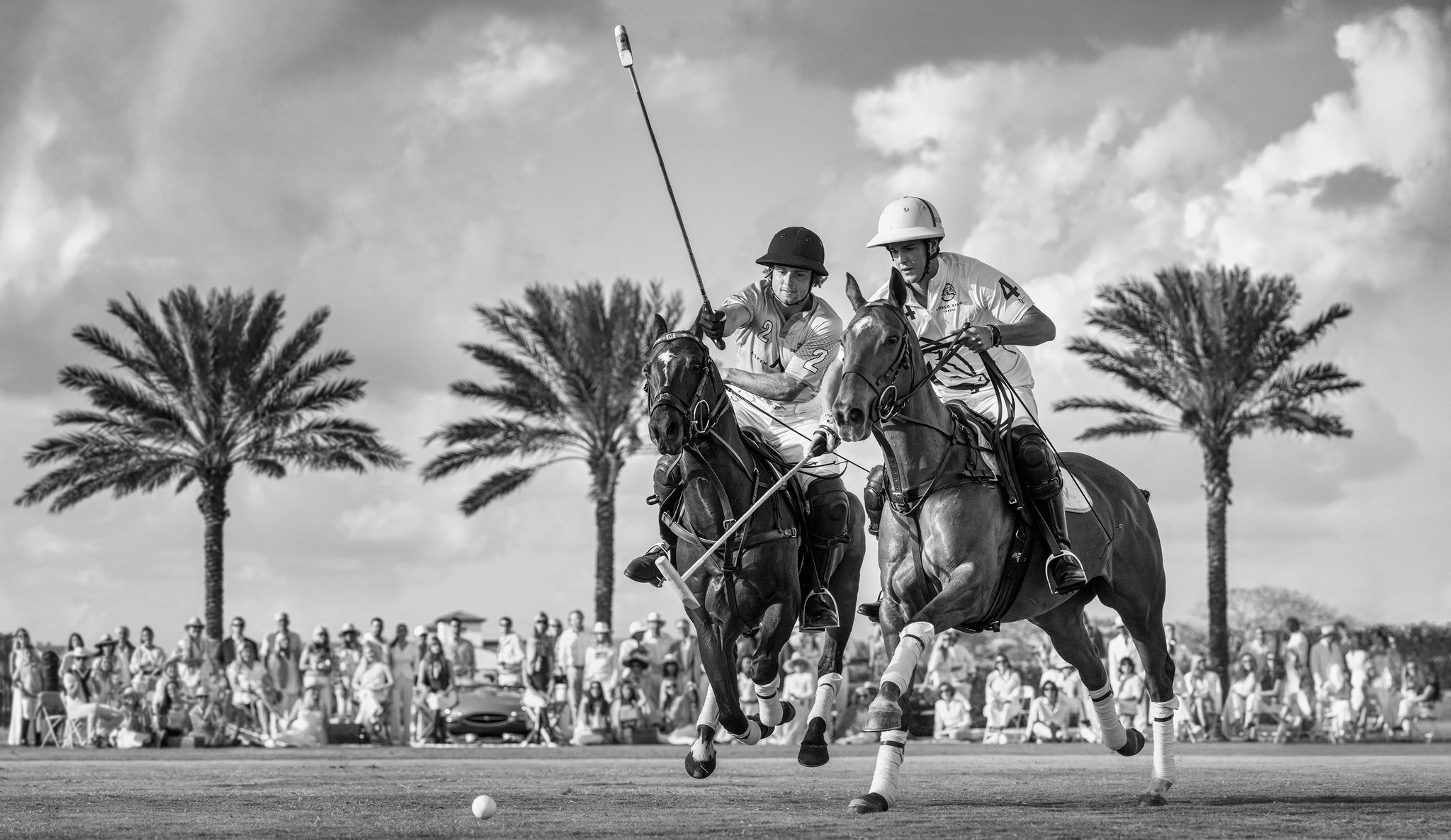 Wellington by David Yarrow, limited edition photography