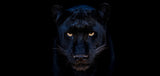 The Black Panther Club (Colour)