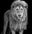 Something's Gotta Give by David Yarrow, limited edition photography