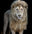 Something's Gotta Give (Colour) by David Yarrow, limited edition photography