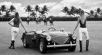 The Thomas Crown Affair