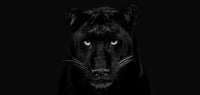 The Black Panther Club