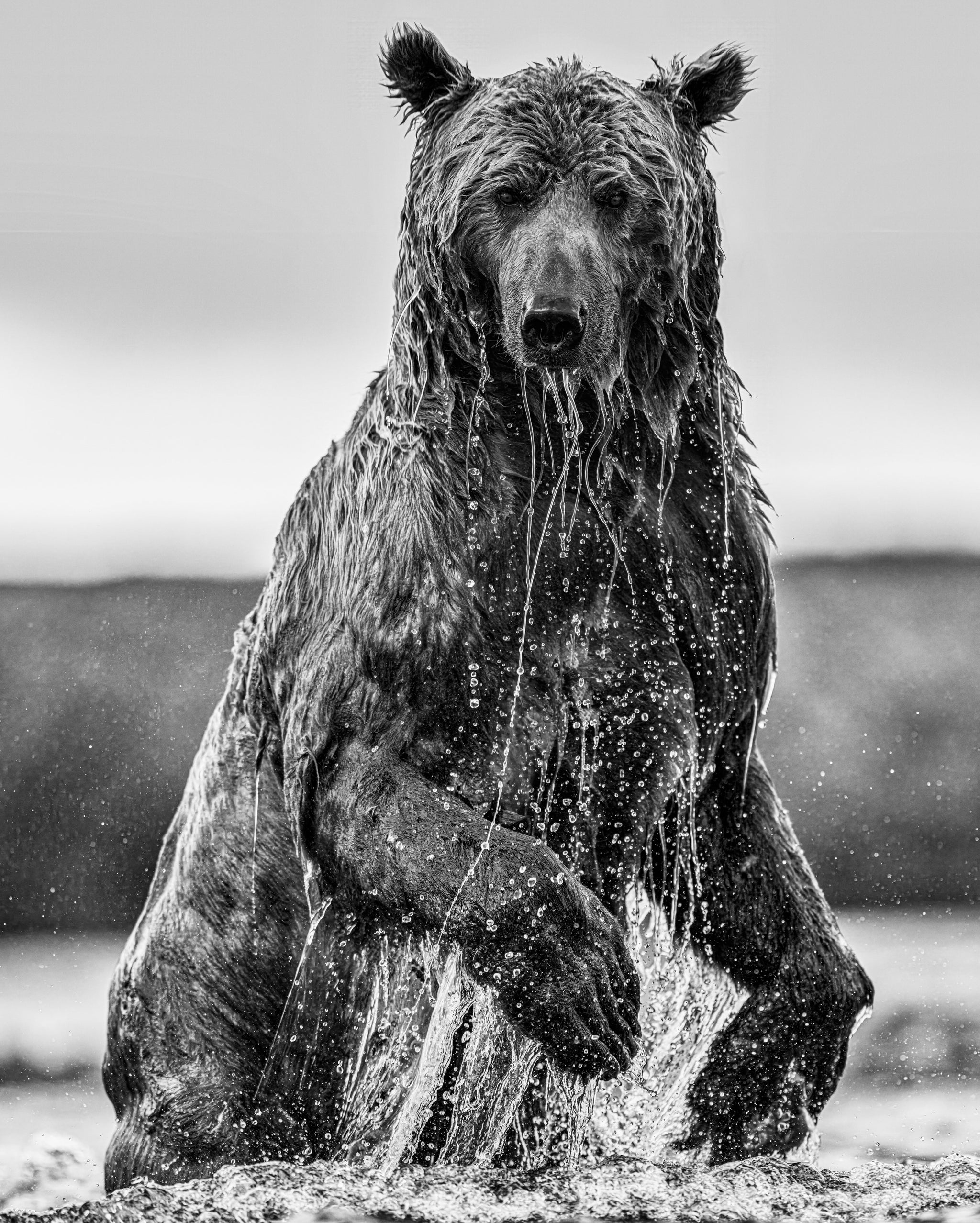 Backcountry by David Yarrow, limited edition photography