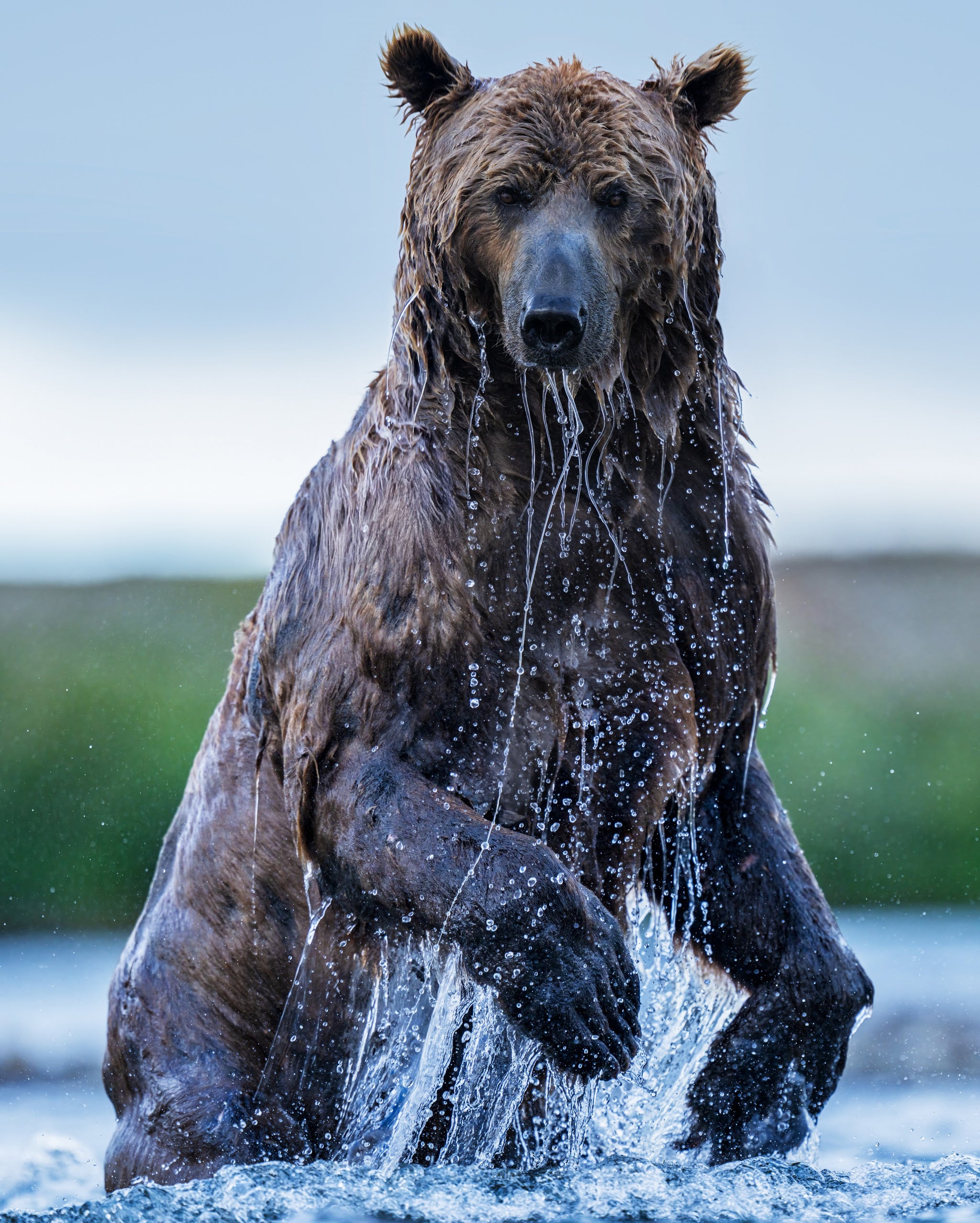 Backcountry (Colour) by David Yarrow, limited edition photography