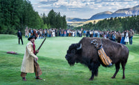 Bison Dechambeau (Colour)