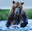 Gone Fishing (Colour) by David Yarrow, limited edition photography
