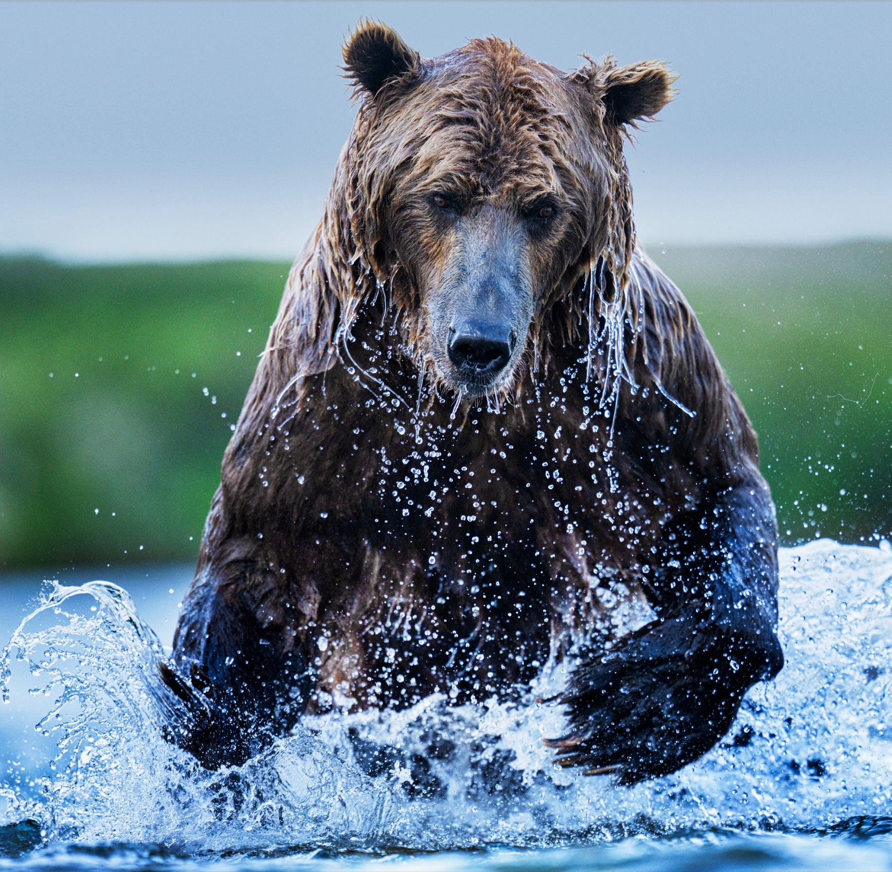 Gone Fishing (Colour) by David Yarrow, limited edition photography