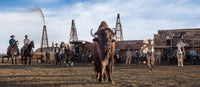 Bison Oil and Gas (Colour)