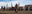 Bison Oil and Gas (Colour) by David Yarrow, limited edition photography