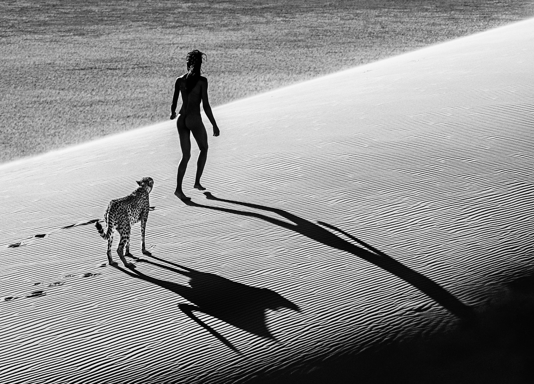 On the Catwalk by David Yarrow, limited edition photography