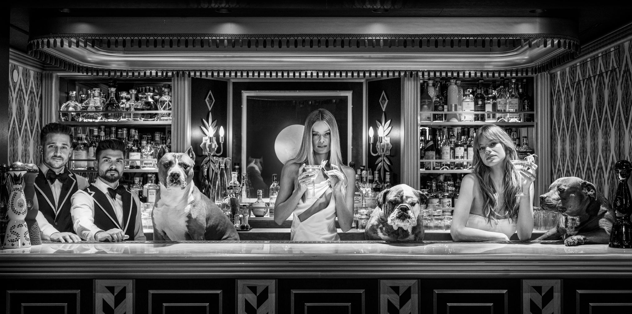 The Dogs of Palm Beach by David Yarrow, limited edition photography