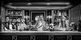 The Dogs of Palm Beach