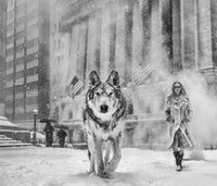 Wall Street Stories