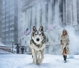 Wall Street Stories (Colour)