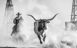 The Lone Star State