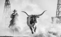 The Lone Star State