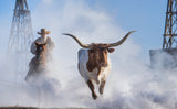 The Lone Star State (Colour)