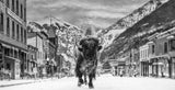 The Bison on Main II
