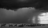 The Gathering Storm