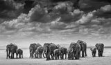 The Crossing