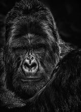 The Thinker