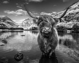 Glen Etive