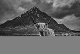 Glencoe