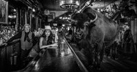 A Bison Walks Into A Bar...