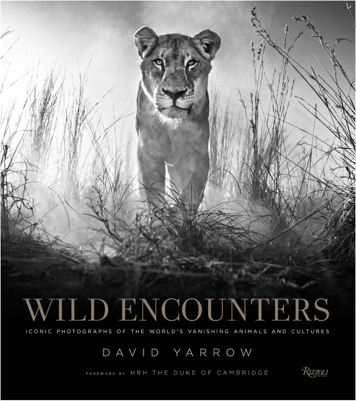 Wild Encounters