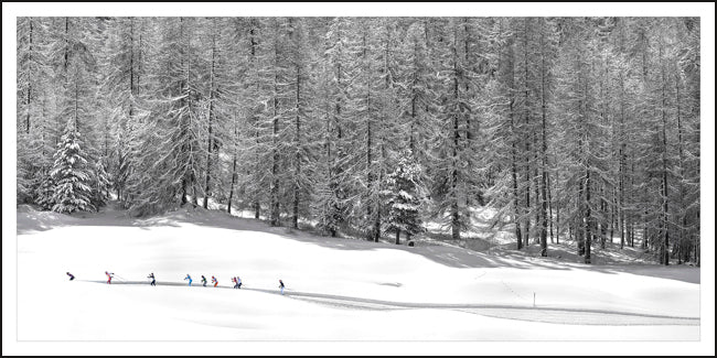 Snowland Nr. 52 by Stefano Zardini, limited edition photography