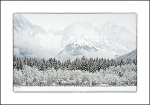 Full White And Other Colors Nr. 6