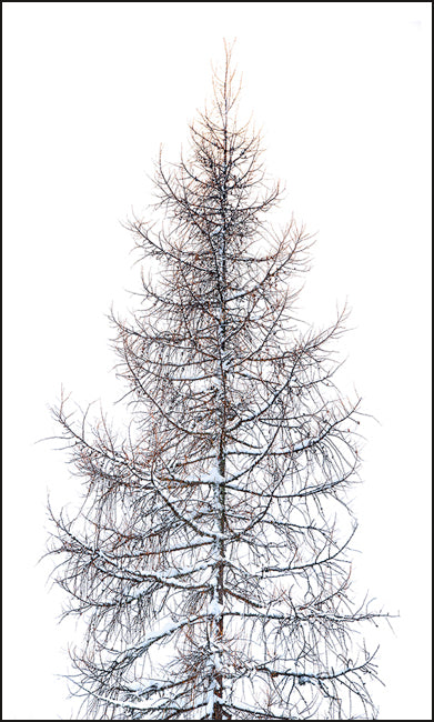 Full White And Other Colors Nr. 24 by Stefano Zardini, limited edition photography
