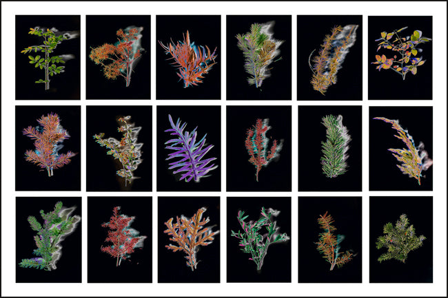 The Sparkling Alps Icons Nr. 14 by Stefano Zardini, limited edition photography