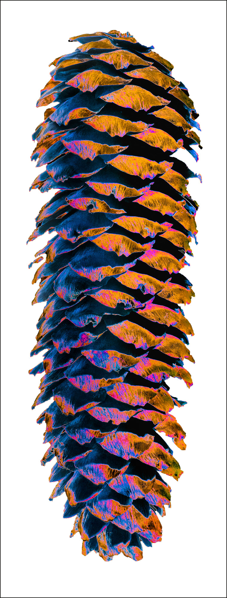 The Sparkling Alps Icons Nr. 47 by Stefano Zardini, limited edition photography