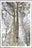 Majestic Oak 2, Positive - Petra Gut Contemporary AG- Bill Claps
