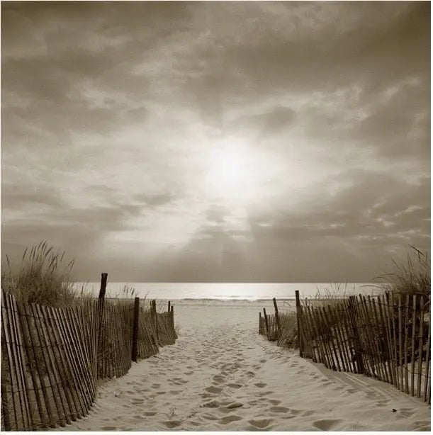 Island Beach, New Jersey , US - Petra Gut Contemporary AG Michael Kahn
