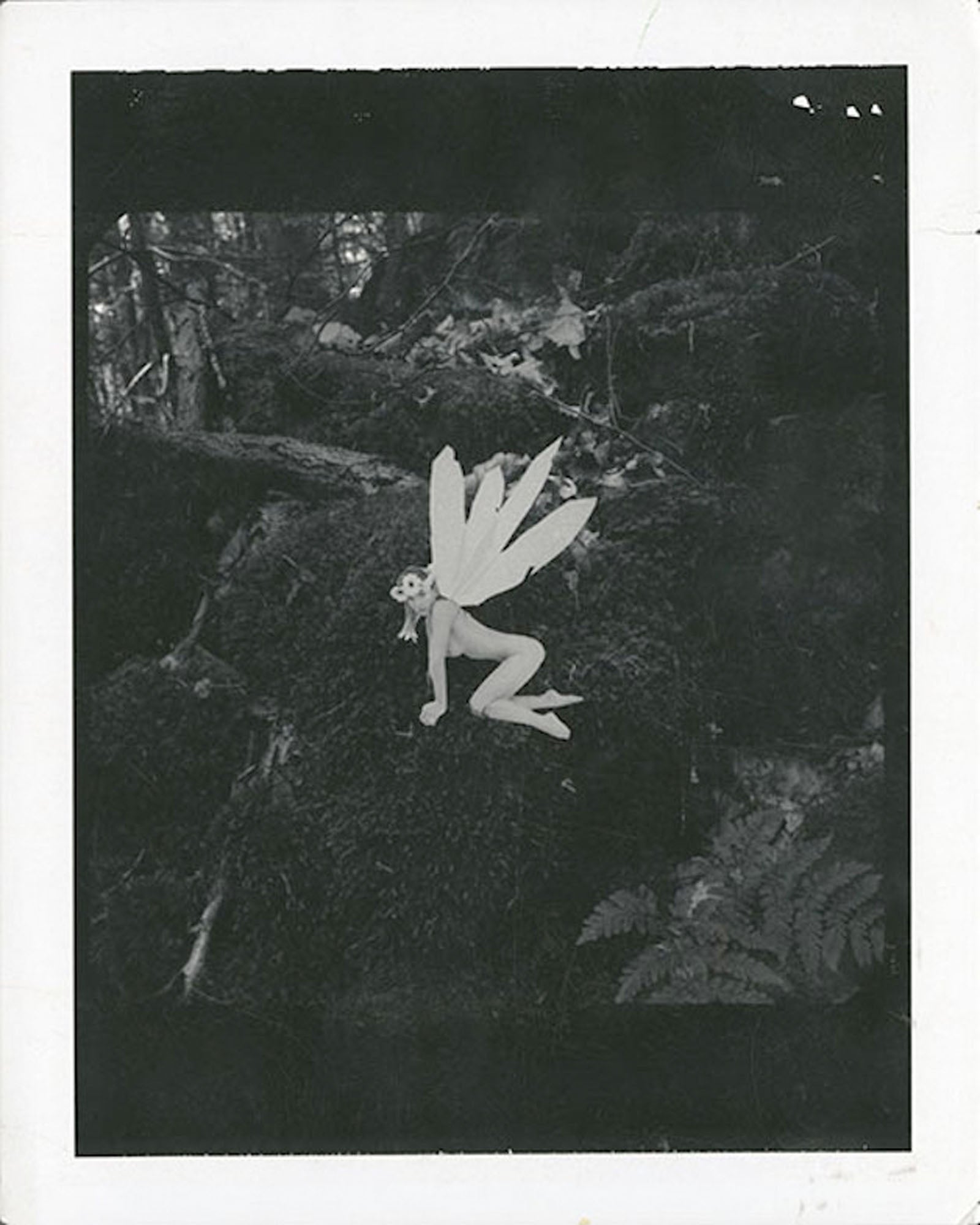 Unique archival polaroid No 26 - Petra Gut Contemporary AG Rankin